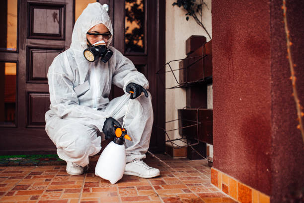 Attic and Crawl Space Rodent Treatment in Newington Forest