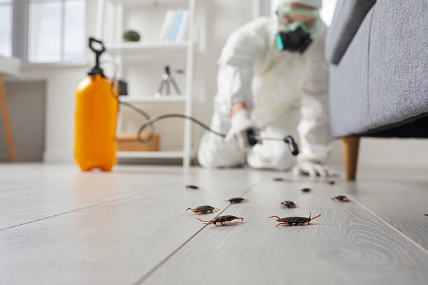 Commercial Rodent Management in Newington Forest